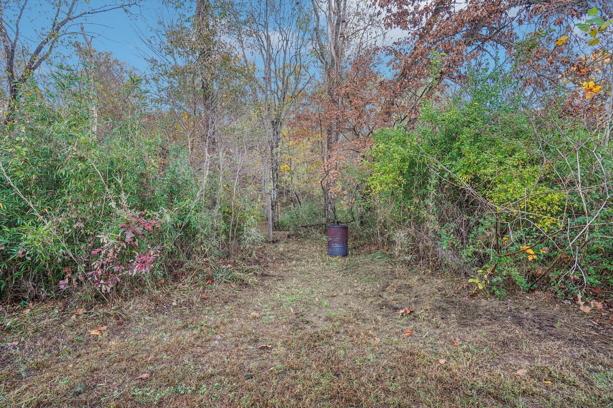 1689 Rains Road Clarksville, TN 37042 - Photo 42 of 49