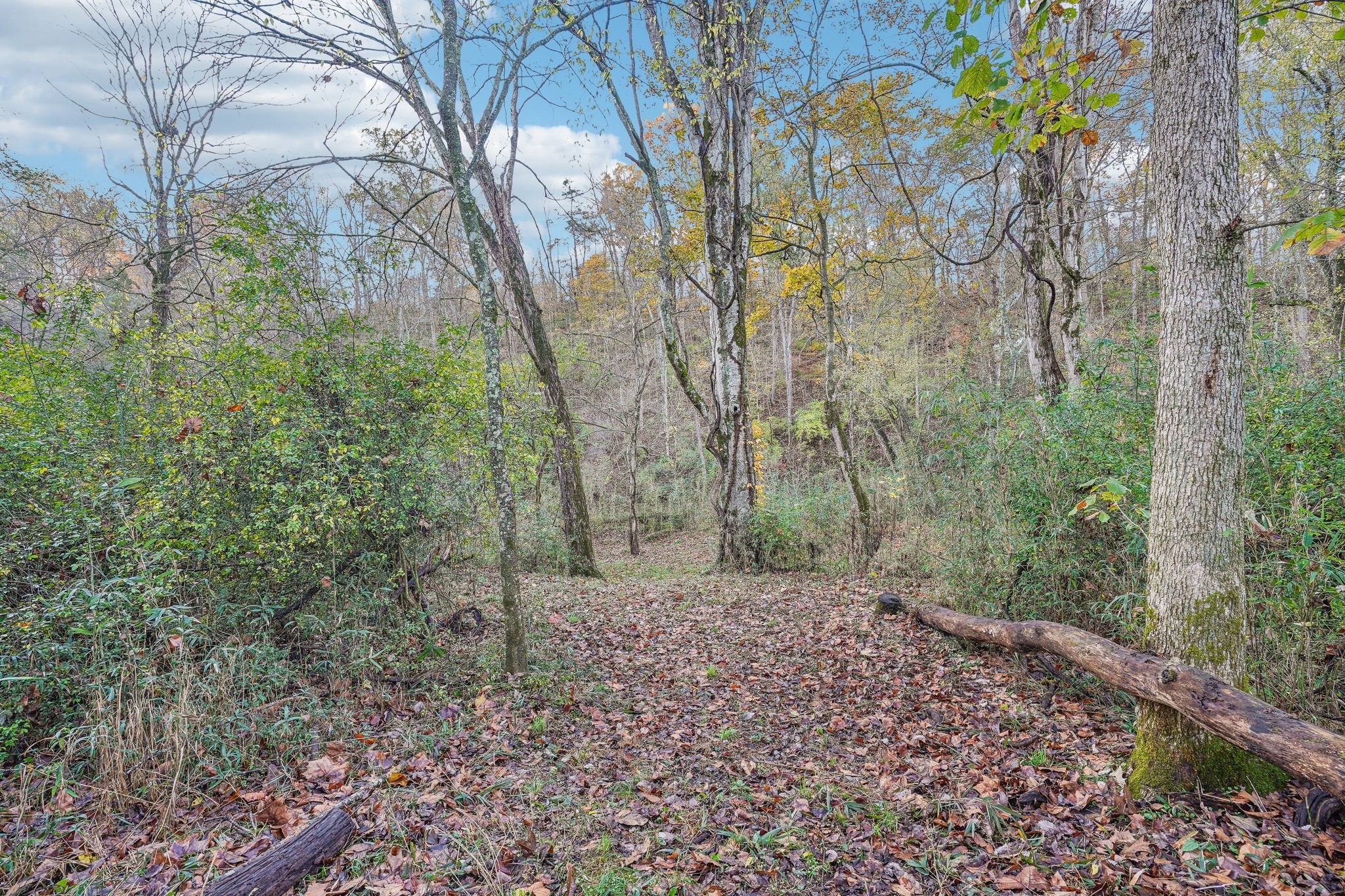 1689 Rains Road Clarksville, TN 37042 - Photo 43 of 49