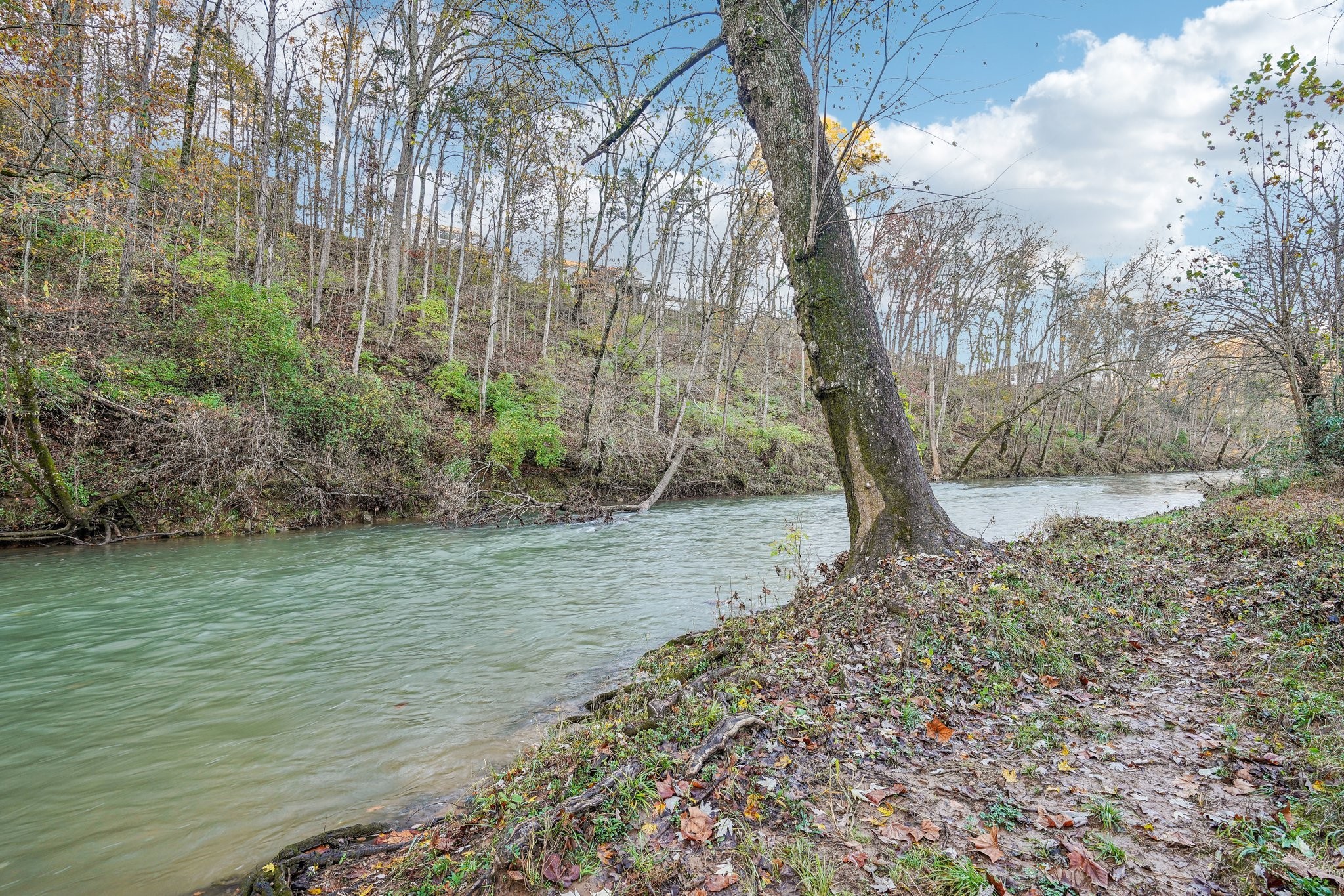 1689 Rains Road Clarksville, TN 37042 - Photo 45 of 49