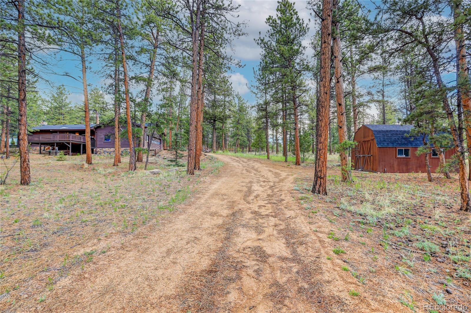 25 Granada Way Pine, CO 80470 - Photo 3 of 40 a view of a backyard with trees