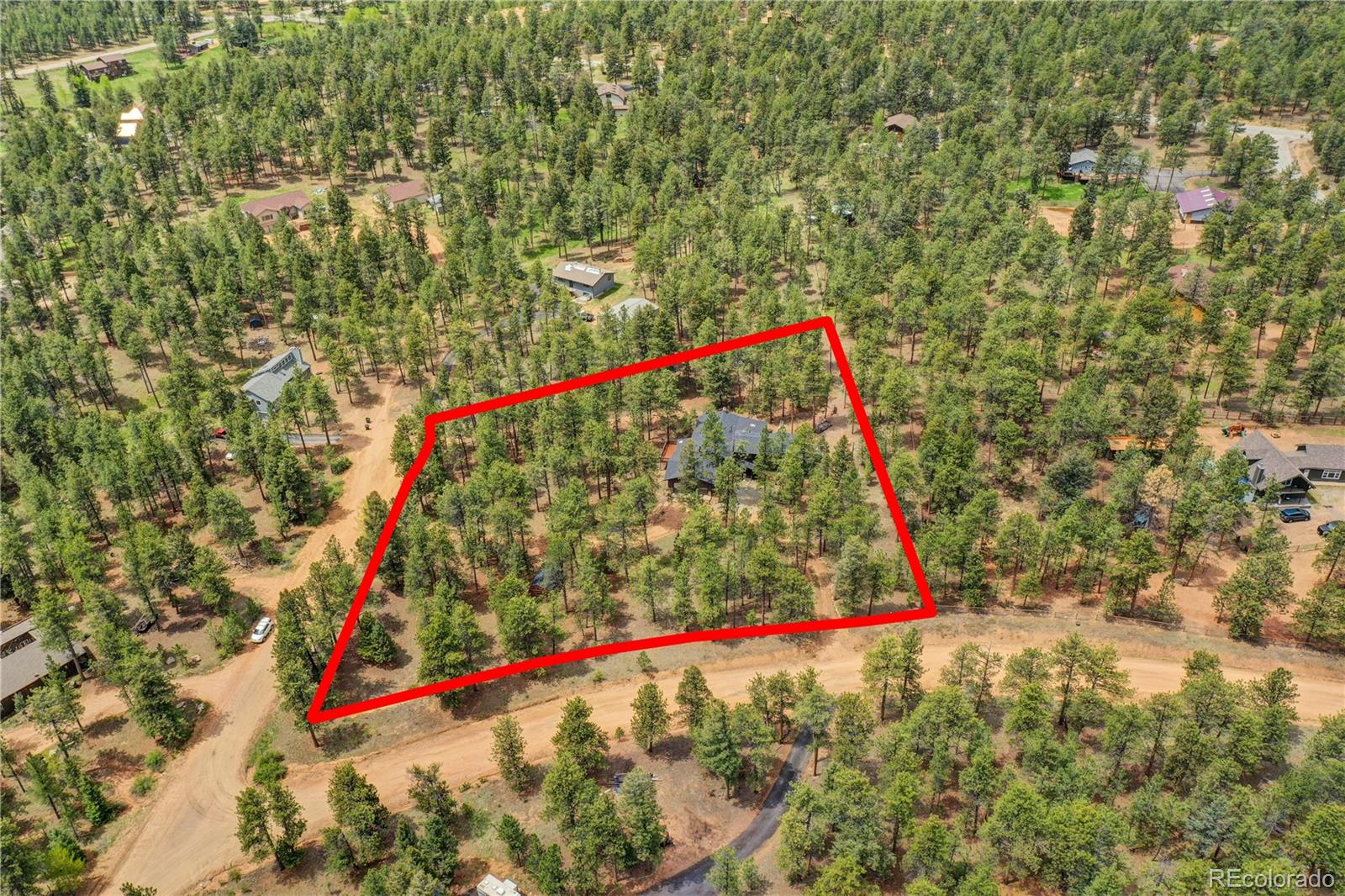 25 Granada Way Pine, CO 80470 - Photo 38 of 40 a view of a yard with a tree