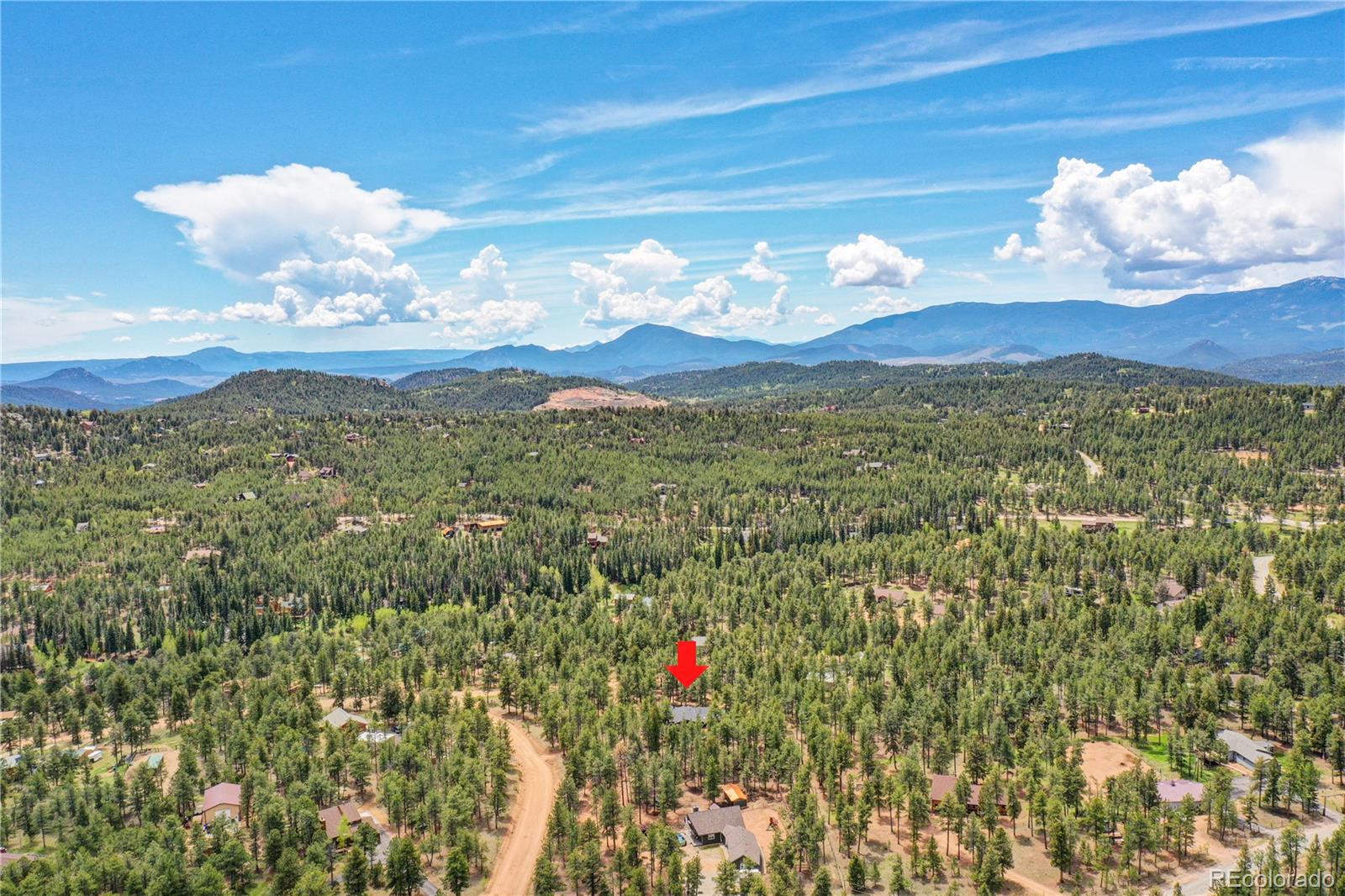 25 Granada Way Pine, CO 80470 - Photo 40 of 40 a view of a flower in a yard