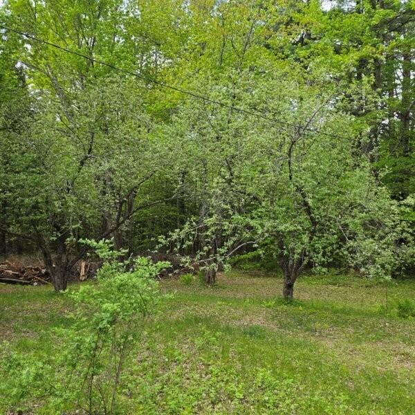 515 Dodlin Road Enfield, ME 04493 - Photo 47 of 74 515 Dodlin Road