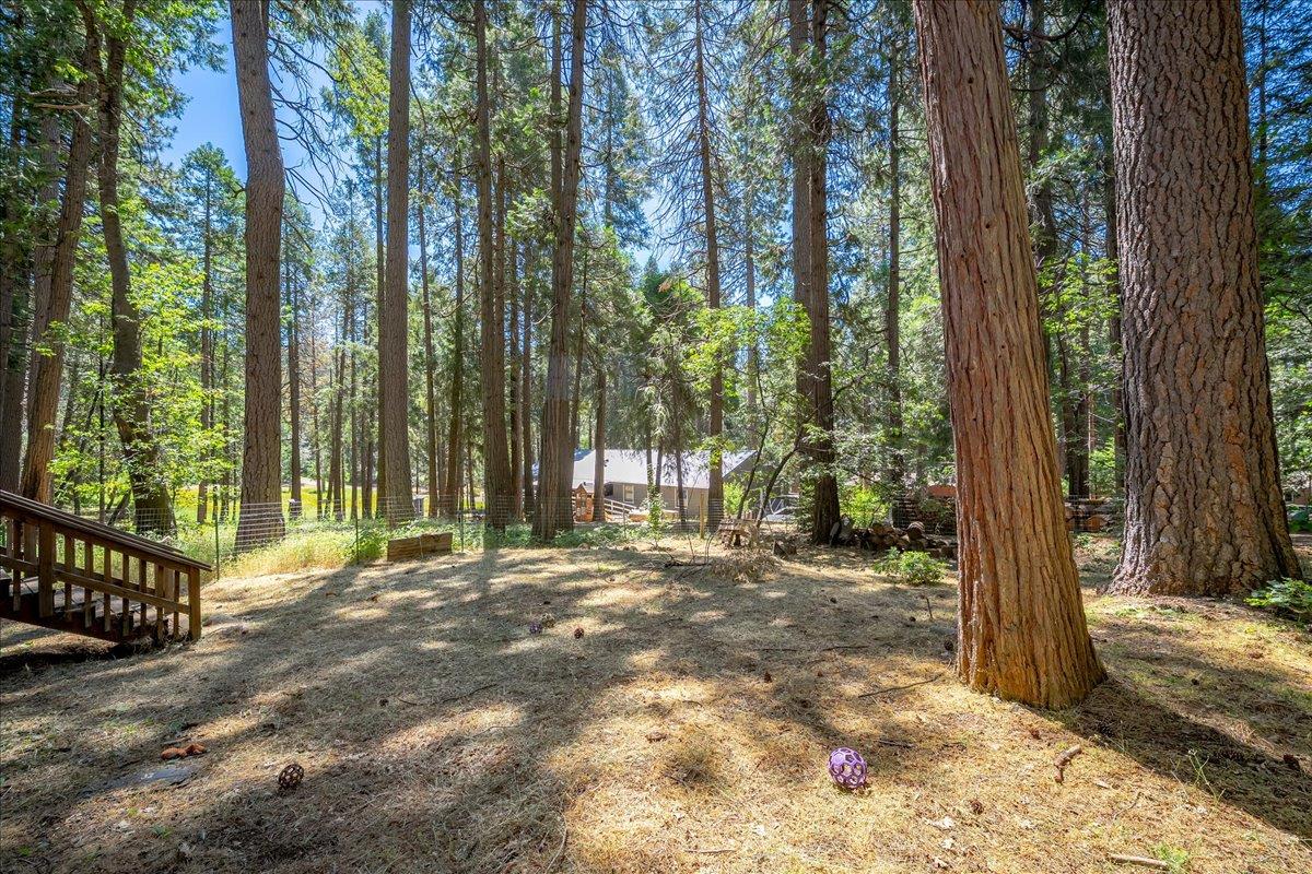 6470 Ridgeway Drive Pollock Pines, CA 95726 - Photo 44 of 57