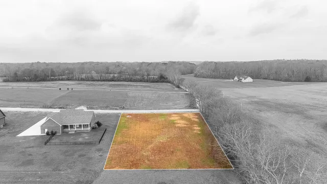 a view of a swimming pool and lounge chair