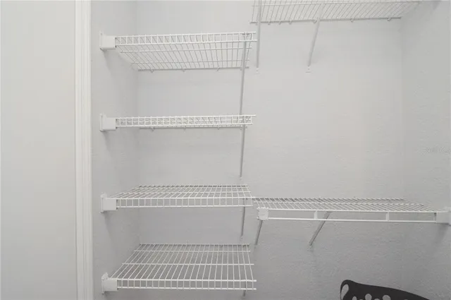 a row of palm trees and swimming pool in the backyard of a house