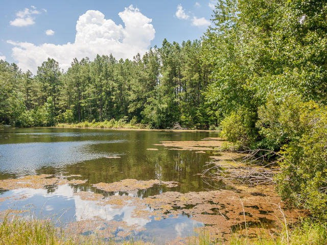 130 Yaun Road North Augusta, SC 29841 - Photo 18 of 19 Gallery Image 18