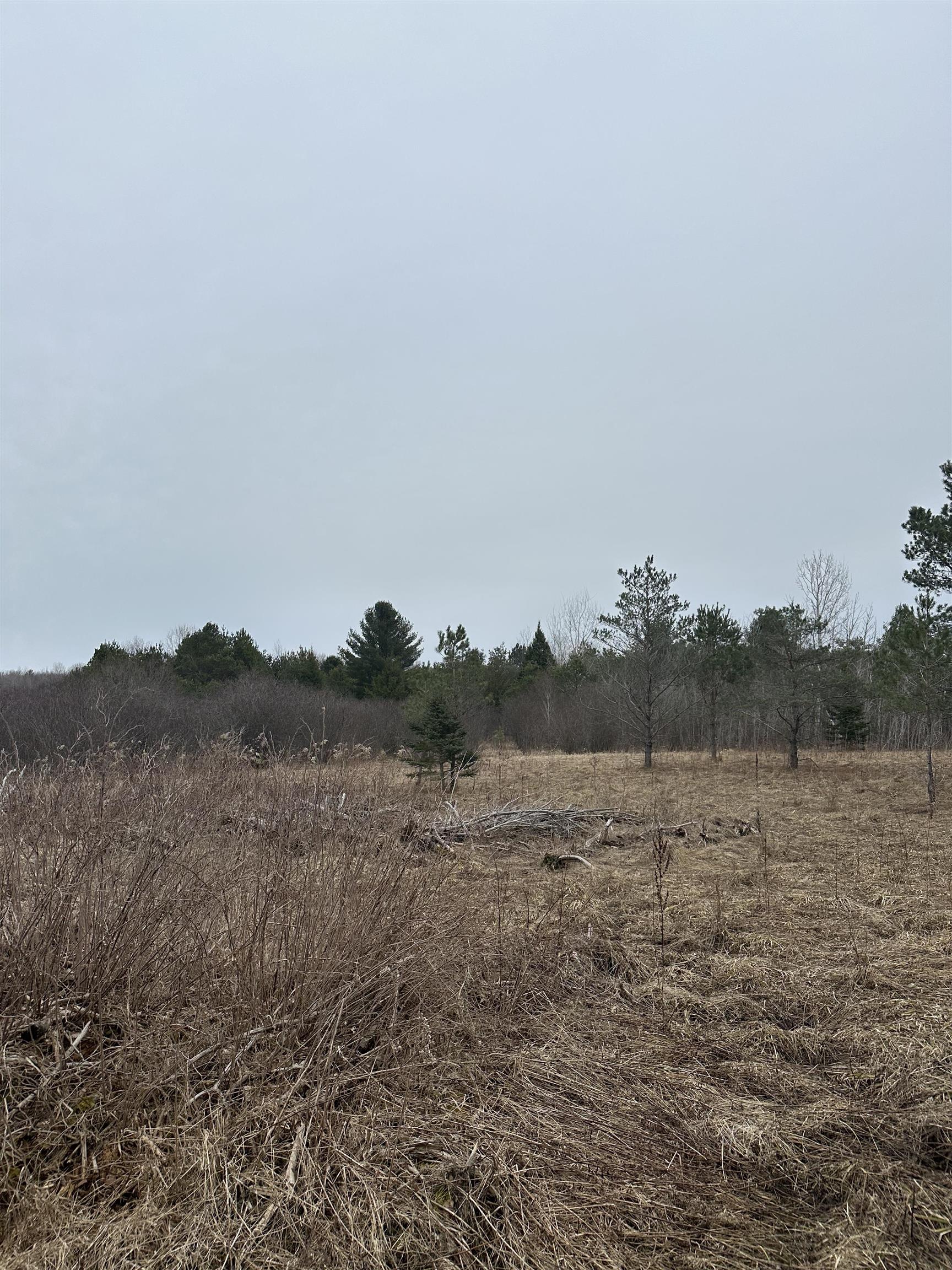 9537 Lakeview Road Alanson, MI 49706 - Photo 3 of 9