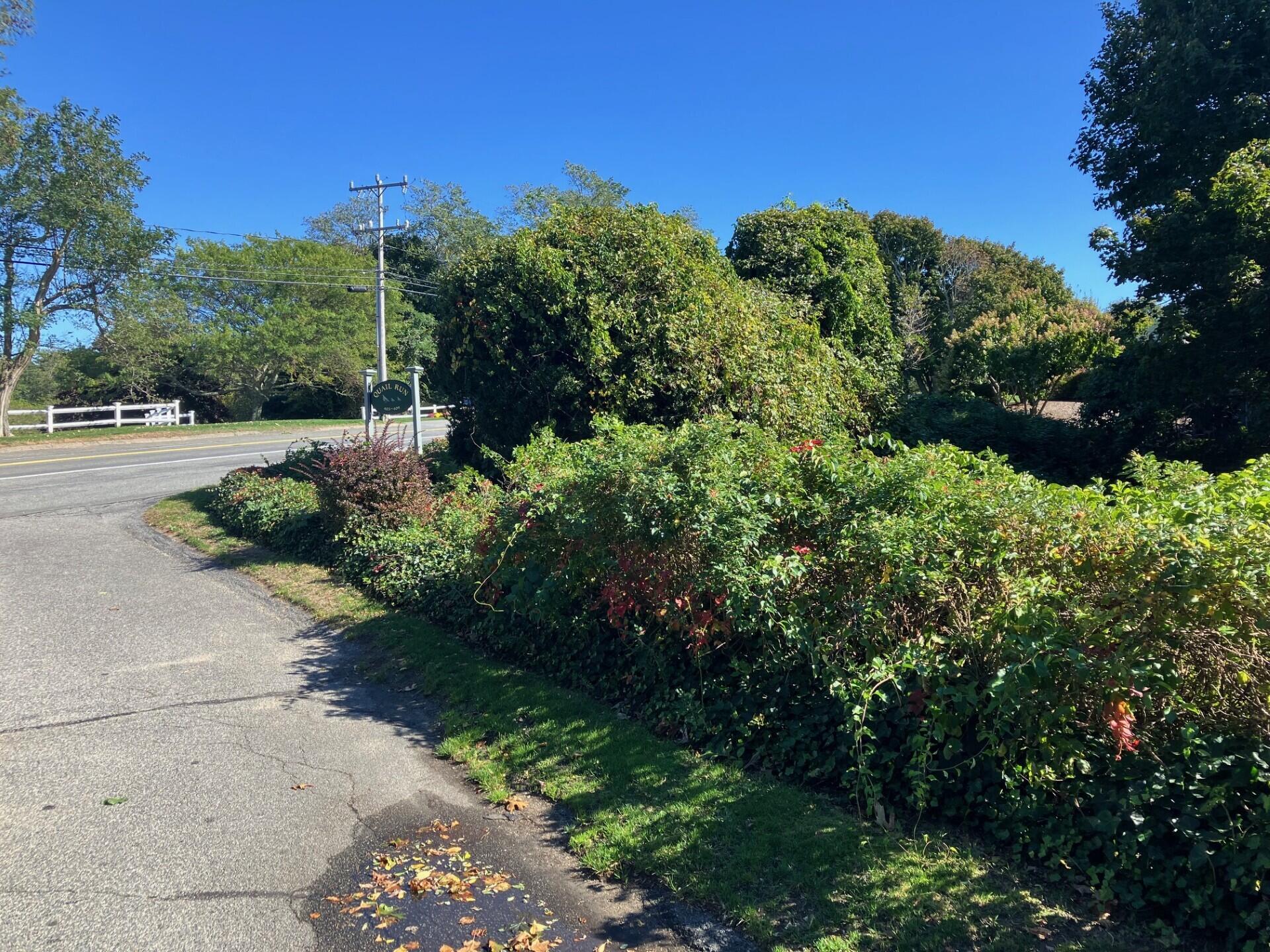 407 Orleans Road, Unit B Chatham, MA 02650 - Photo 13 of 16 a view of a garden with a building in the background