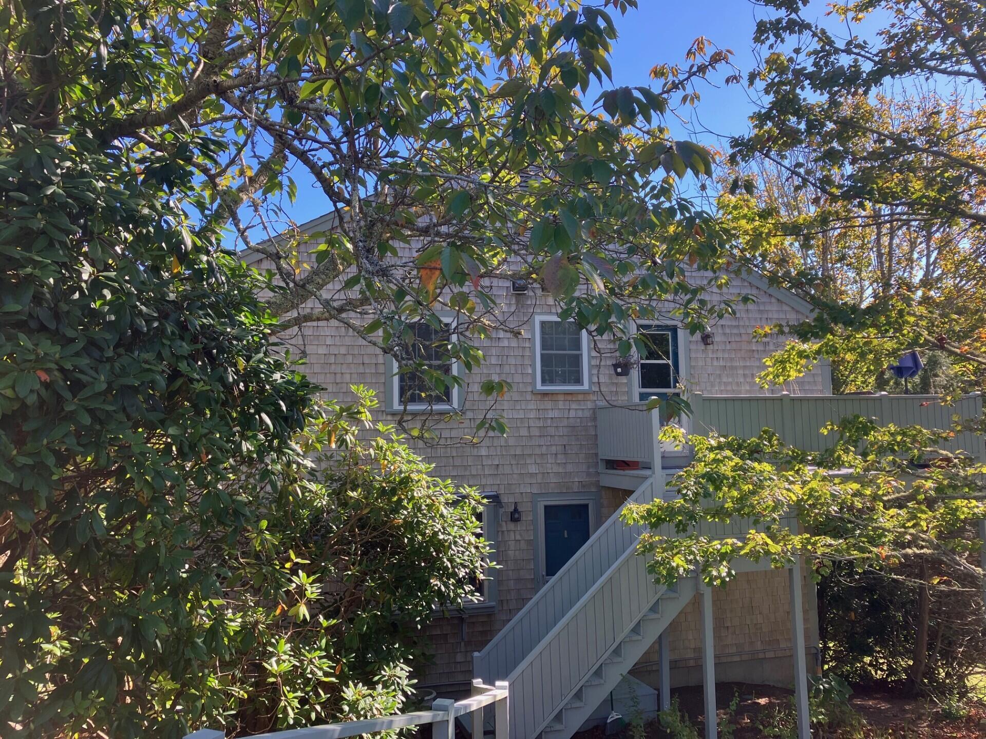 407 Orleans Road, Unit B Chatham, MA 02650 - Photo 4 of 16 a tree in front of a house