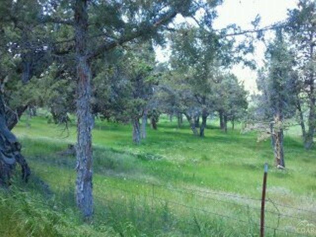65685 Gerking Market Road Bend, OR 97703 - Photo 20 of 21 Pasture.