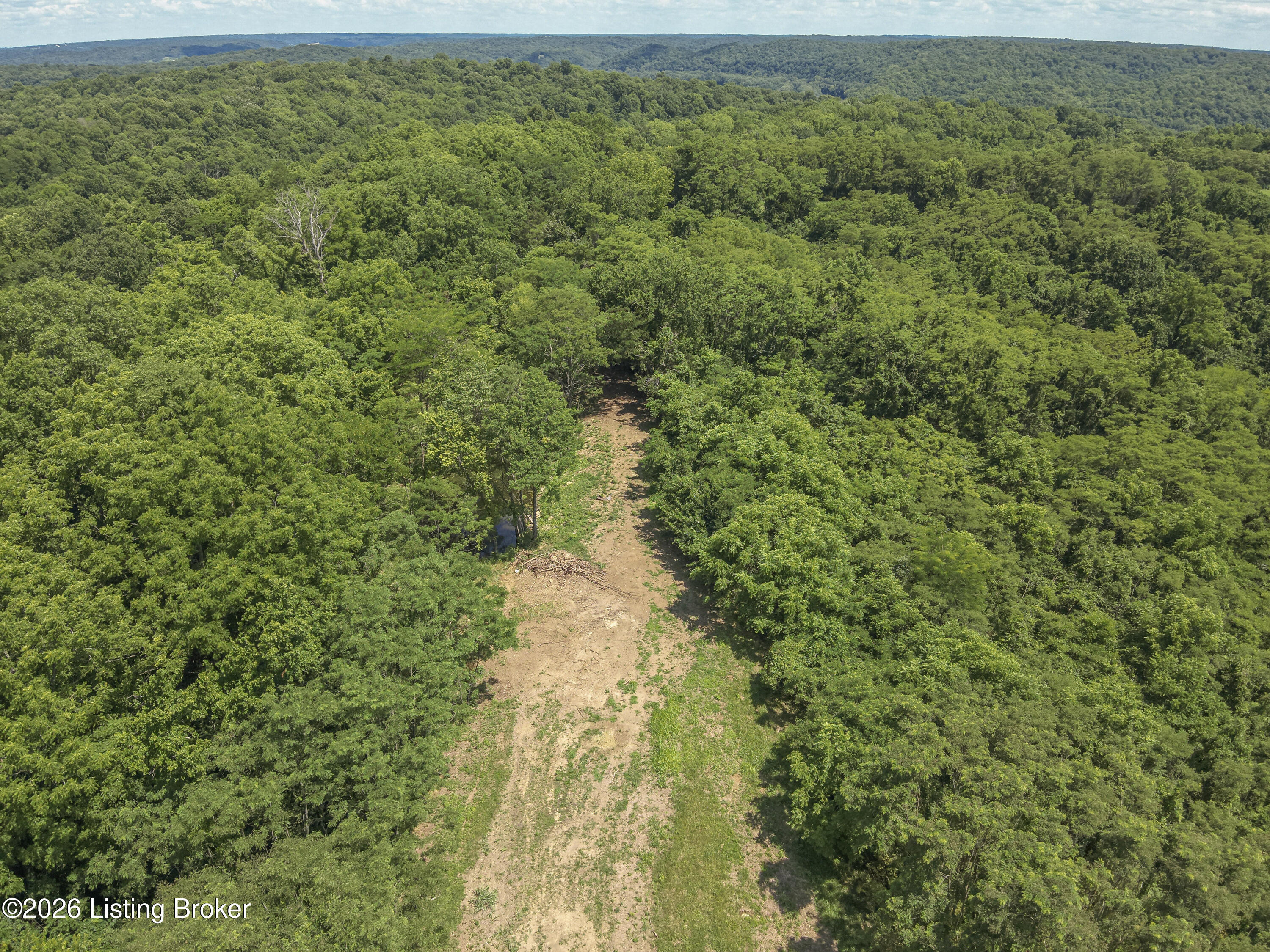 167 Price Road Bethlehem, KY 40007 - Photo 33 of 84 9-DJI_20260624152055_0010_W