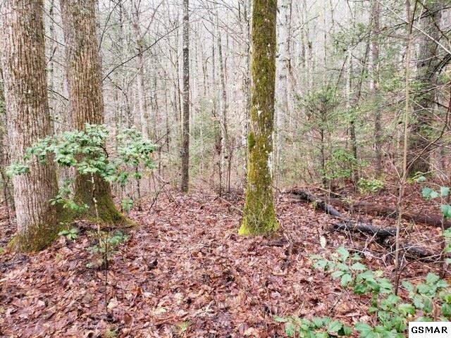 7 Overlook View Road Walland, TN 37886 - Photo 4 of 4