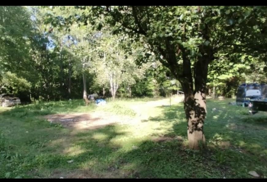 231 State Rd S-44-289 Union, SC 29379 - Photo 2 of 6