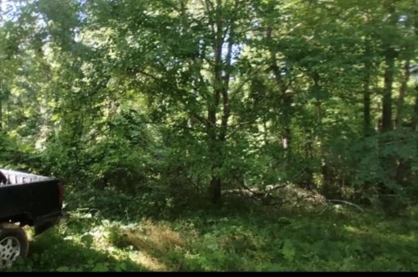 231 State Rd S-44-289 Union, SC 29379 - Photo 3 of 6