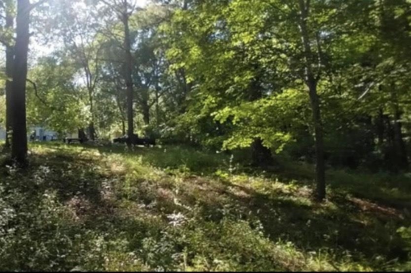 231 State Rd S-44-289 Union, SC 29379 - Photo 4 of 6