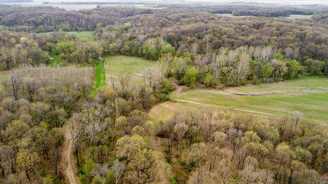 0 Lake Catatoga Road Shipman, IL 62685 - Photo 14 of 49