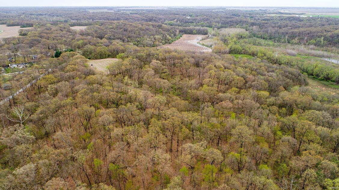 0 Lake Catatoga Road Shipman, IL 62685 - Photo 3 of 49
