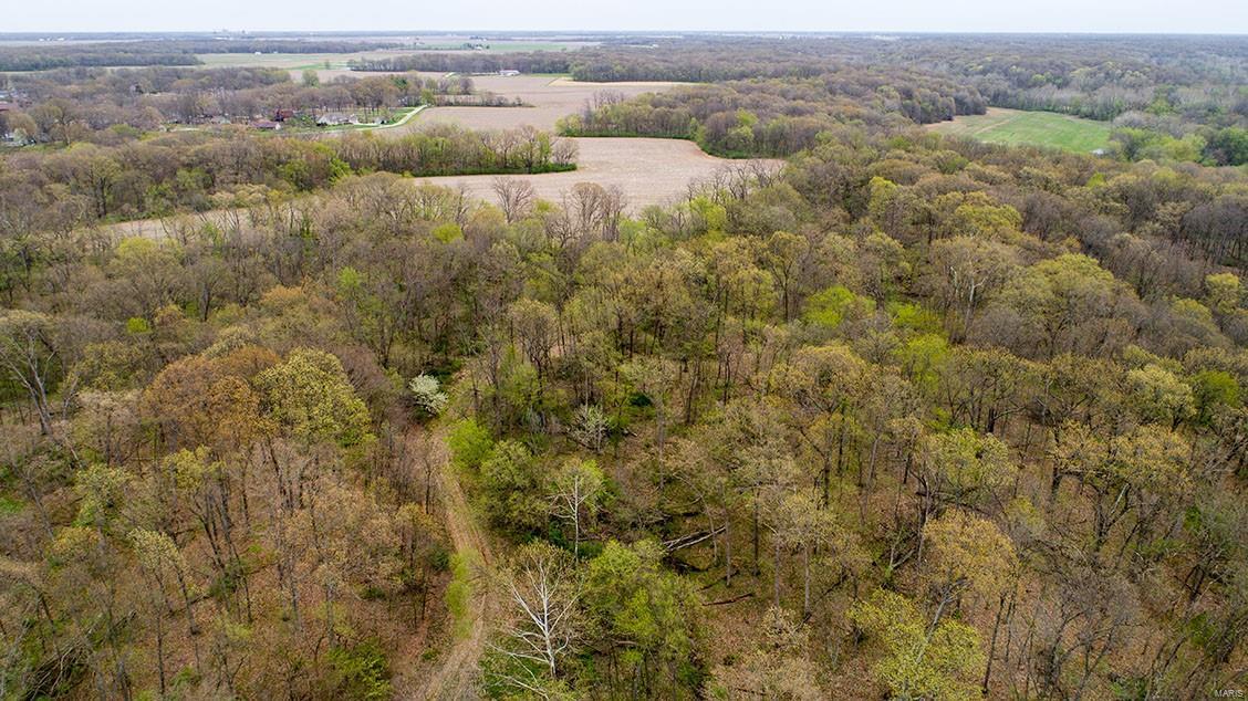 0 Lake Catatoga Road Shipman, IL 62685 - Photo 8 of 49
