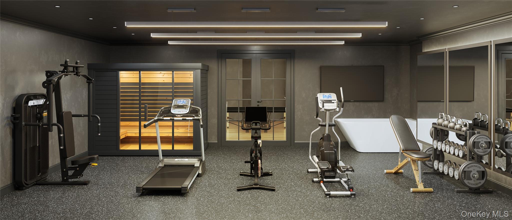 113 Woodlands Road Harrison, NY 10528 - Photo 6 of 9 Equinox Inspired Gym w/Cold Plunge, Sauna, Steam Shower, Himalayan Salt Room w/Red Light Therapy