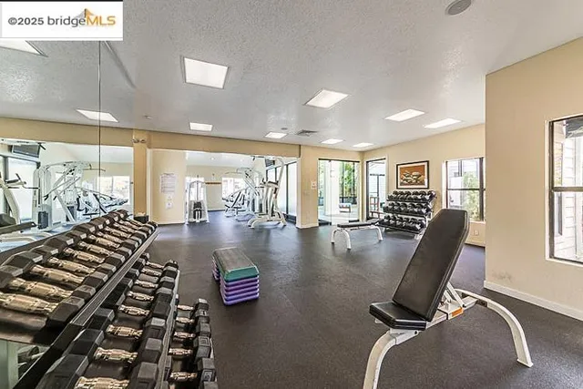 a view of swimming pool with outdoor seating and plants