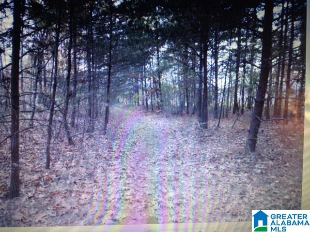 13611 Lay Springs Road Gadsden, AL 35904 - Photo 26 of 34