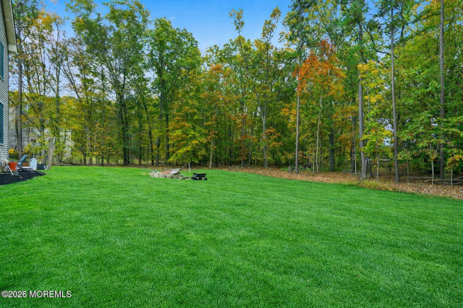 12 Risa Benjamin Way Freehold, NJ 07728 - Photo 31 of 31 Backyard