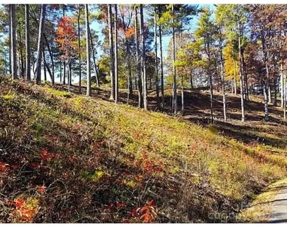 $79,000 | 31 Timber Hill Drive, Unit 19, Marshall, NC 28753