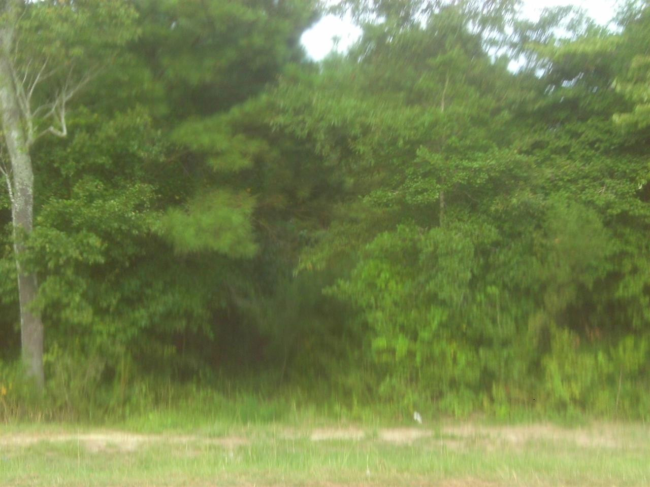 0 Onslow Stephenson Road Angier, NC 27501 - Photo 2 of 3 Photo 2