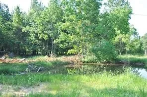 $1,000 | 10955 Daw Collins Road, Splendora, TX 77372