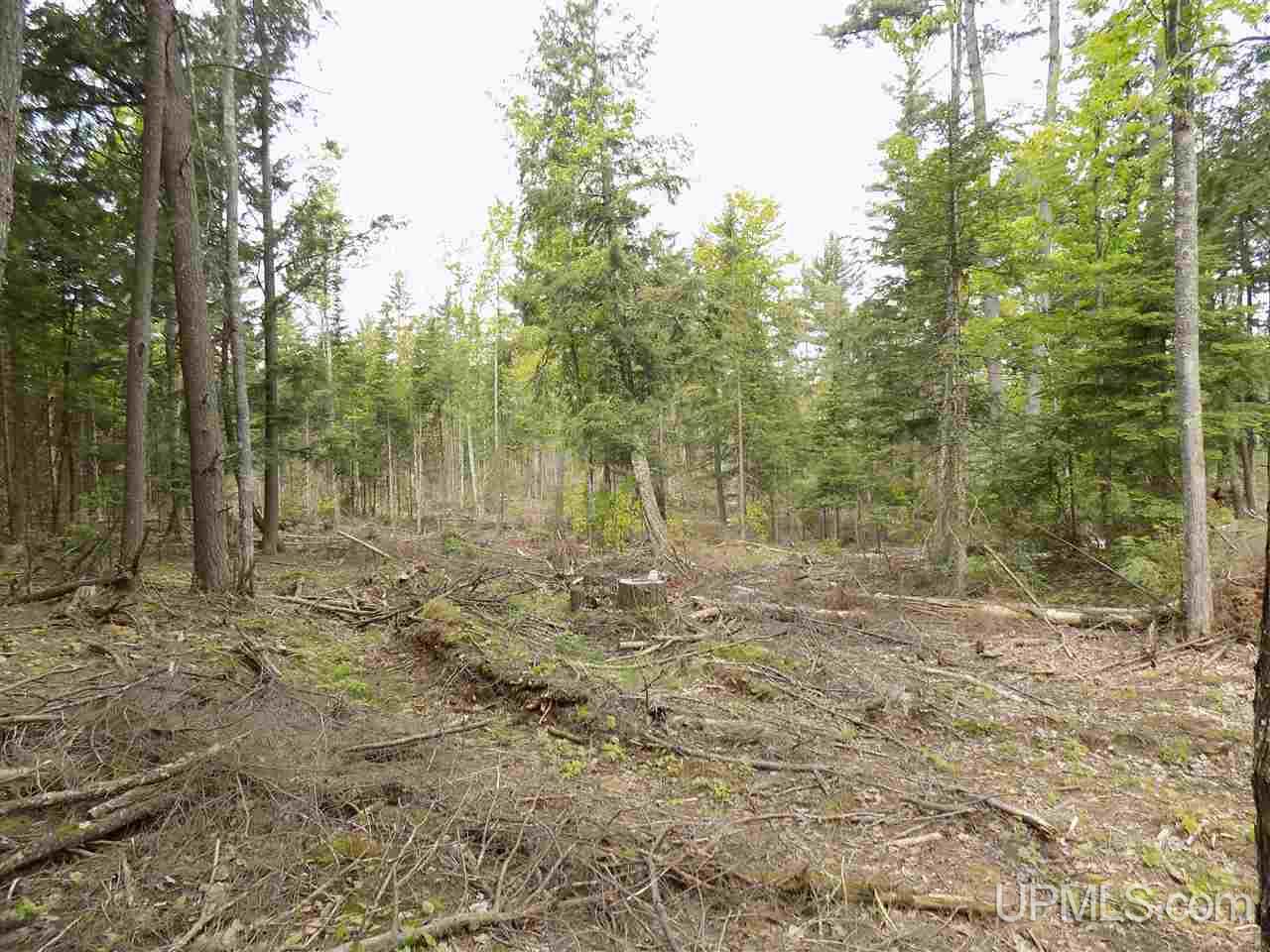 Tbd Slim's Road, Unit PARCEL B Manistique, MI 49854 - Photo 11 of 21