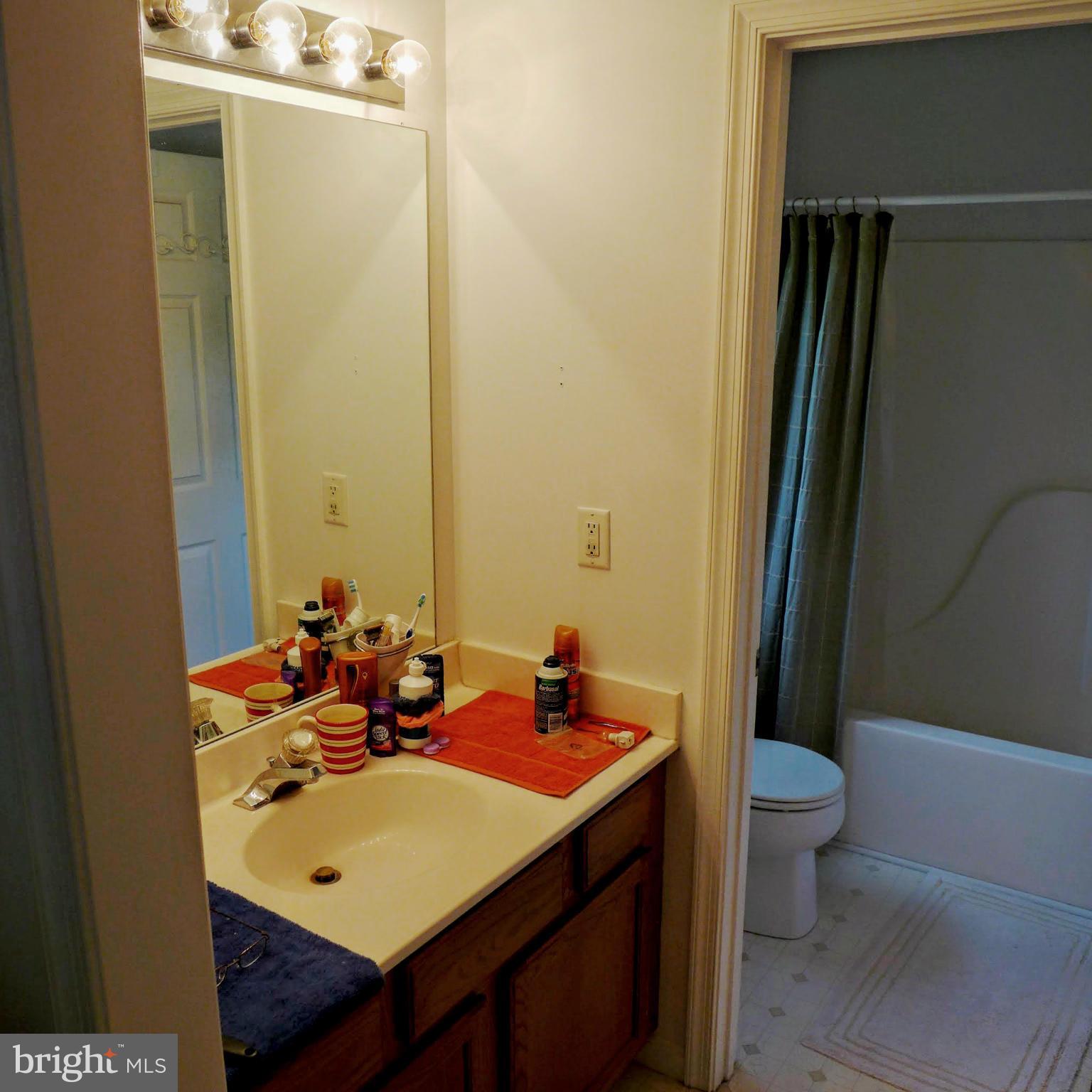 232 Whissens Ridge Road Winchester, VA 22602 - Photo 15 of 29 Bath (Master)