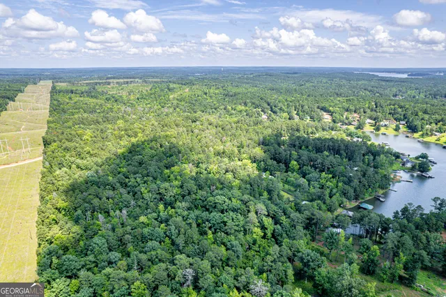 $250,000 | 0 Pine Lake, Sparta, GA 31087