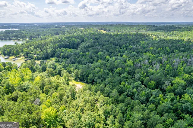 $250,000 | 0 Pine Lake, Sparta, GA 31087