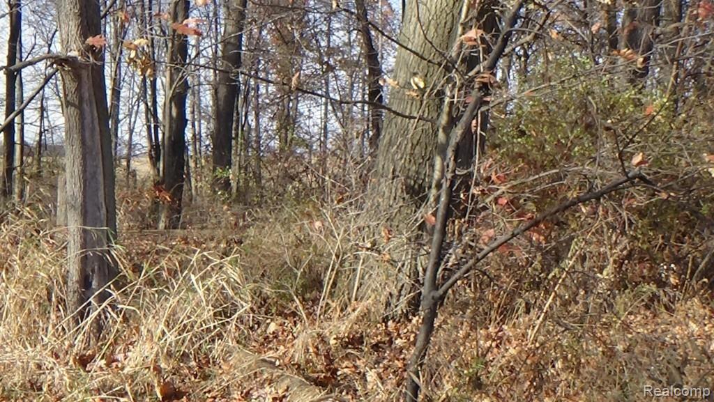 20-acres Meadowlawn Road Fowlerville, MI 48836 - Photo 7 of 9