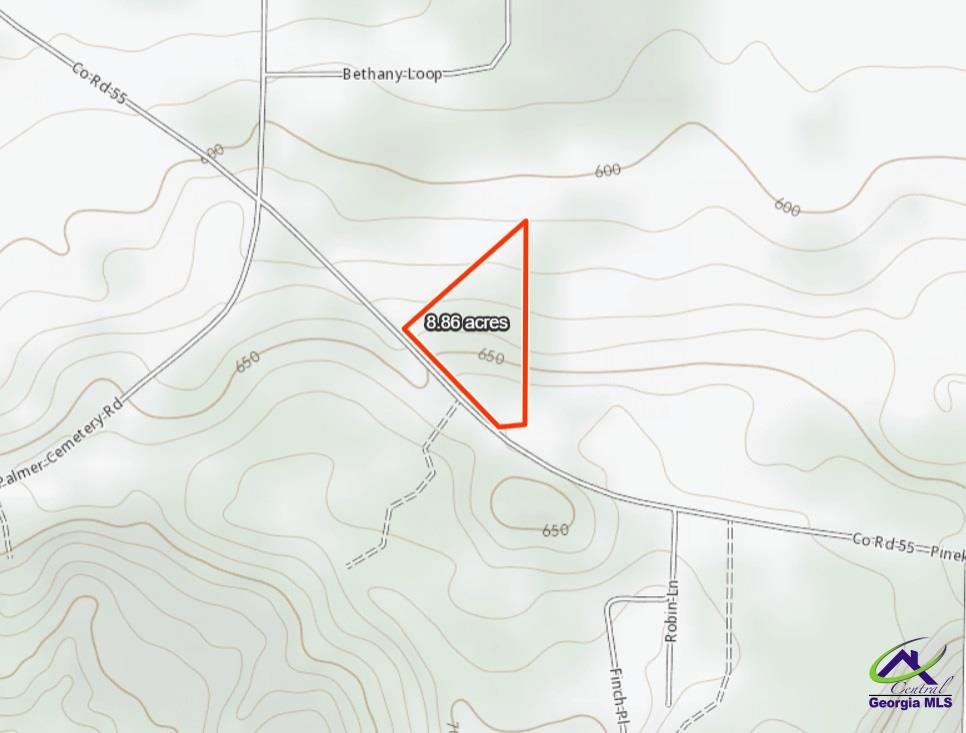 0 Pineknot Road Box Springs, GA 31801 - Photo 11 of 12