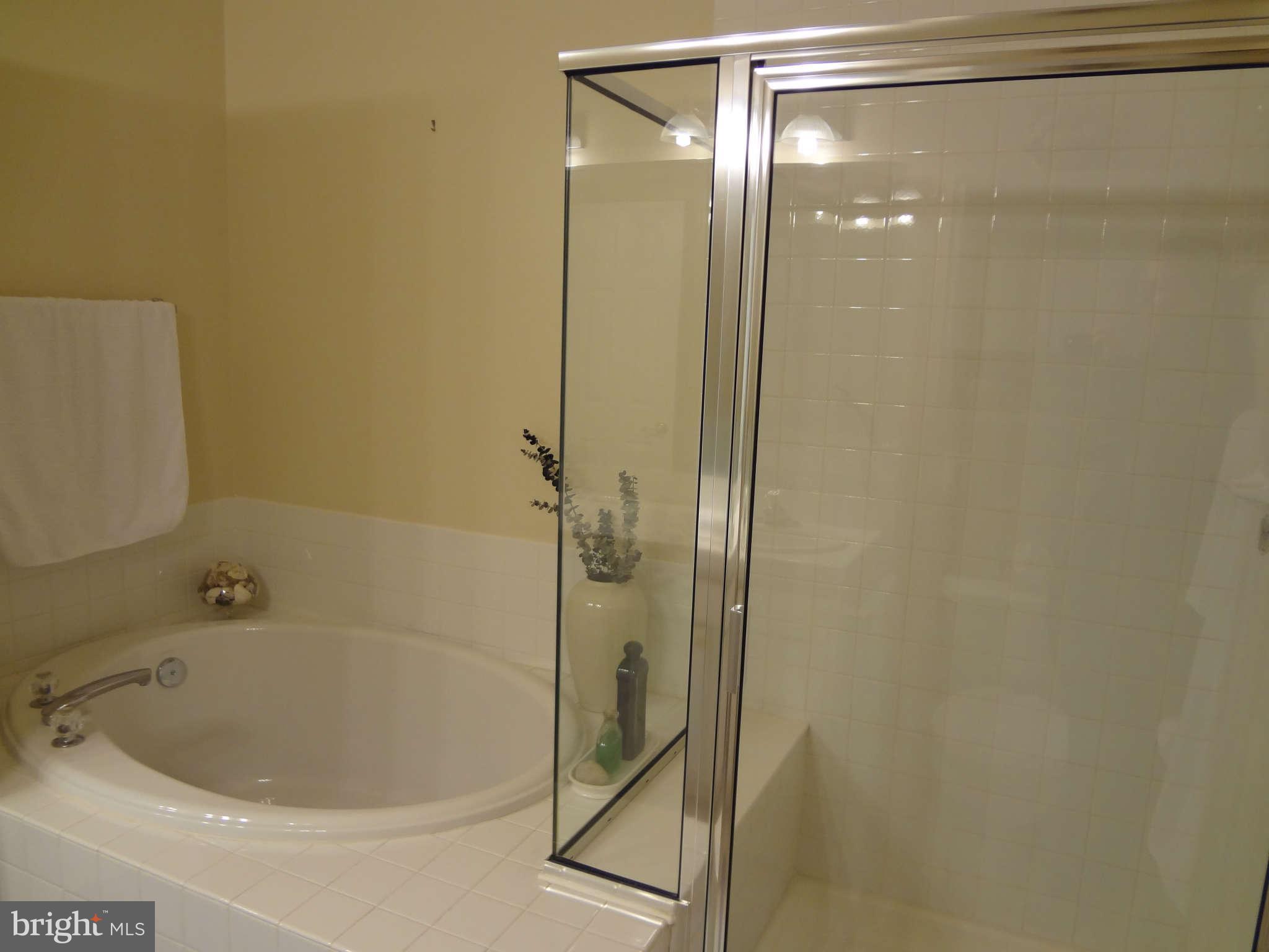46 Barrington Road Bel Air, MD 21014 - Photo 9 of 11 Bath (Master)