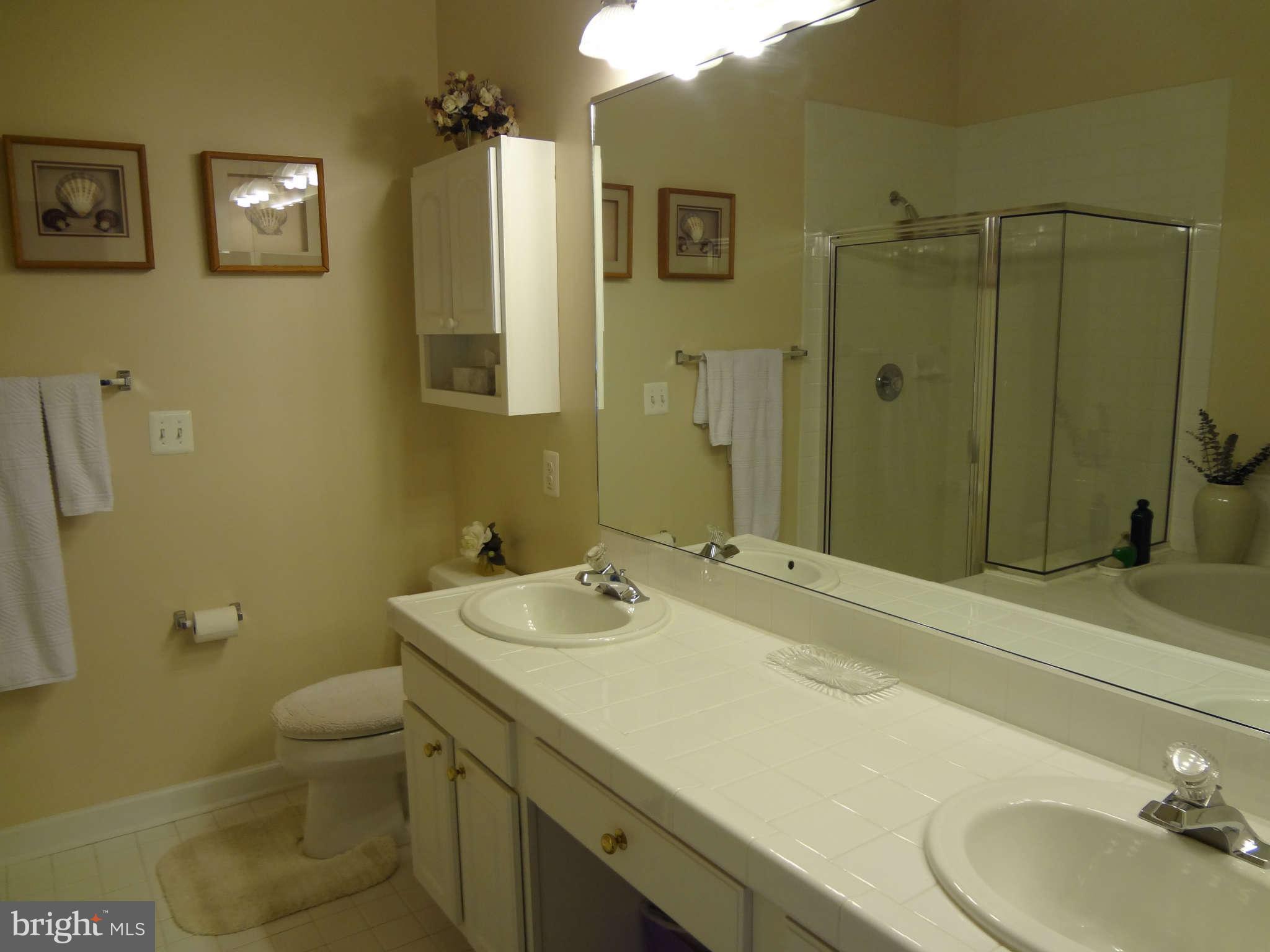 46 Barrington Road Bel Air, MD 21014 - Photo 10 of 11 Bath (Master)