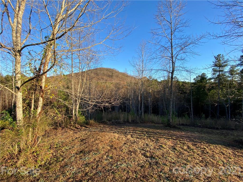 257 Pilot Ridge Road, Unit 18 Nebo, NC 28761 - Photo 14 of 32 a backyard of a house