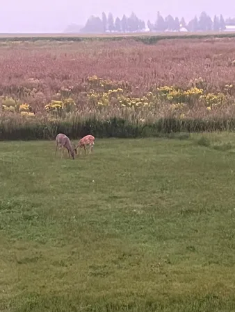 $764,900 | 1800 20th Avenue Circle Northeast, Kasson, MN 55944