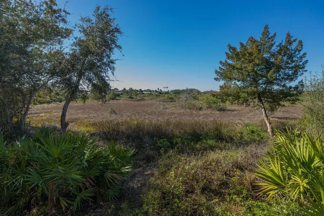 a view of a lush green space