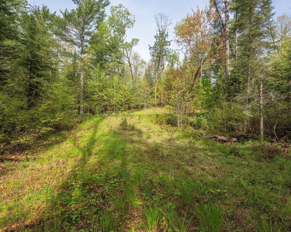 7 Blue Island Road, Unit PARCEL Woodruff, WI 54568 - Photo 2 of 18 Gallery Image 2