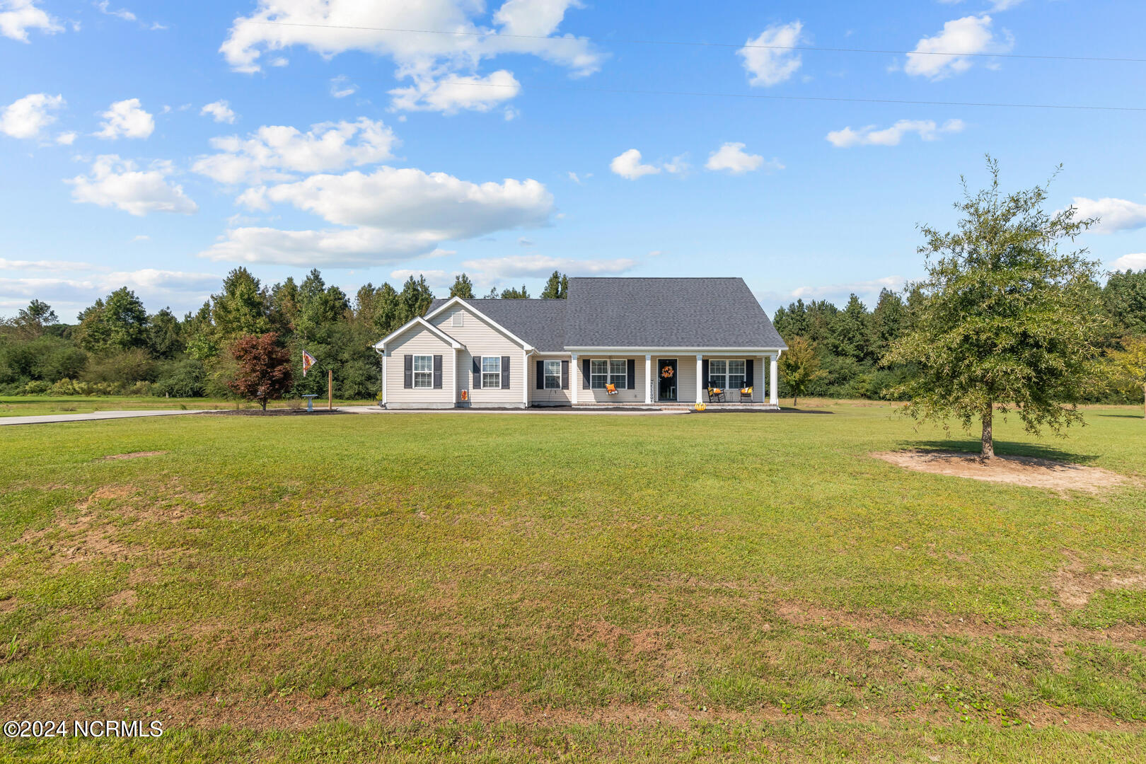 279 Quinn Store Road Beulaville, NC 28518 - Photo 4 of 54 4