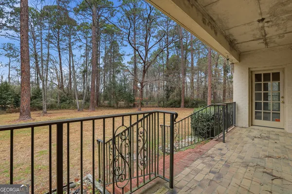a tree in the middle of a yard