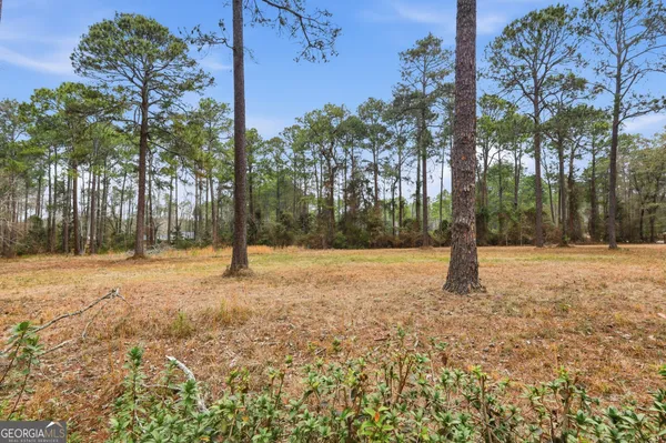 $999,000 | 208 Timberline Drive, Statesboro, GA 30461