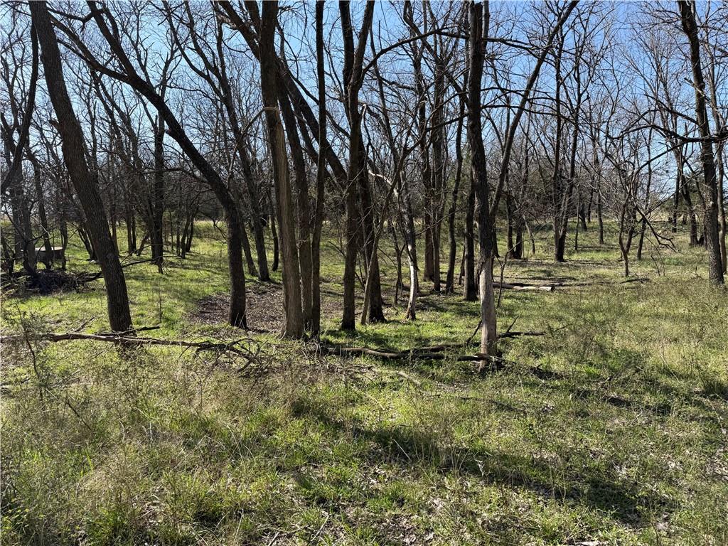 1454 271 St Road Latham, KS 67072 - Photo 59 of 95 Gallery Image 59