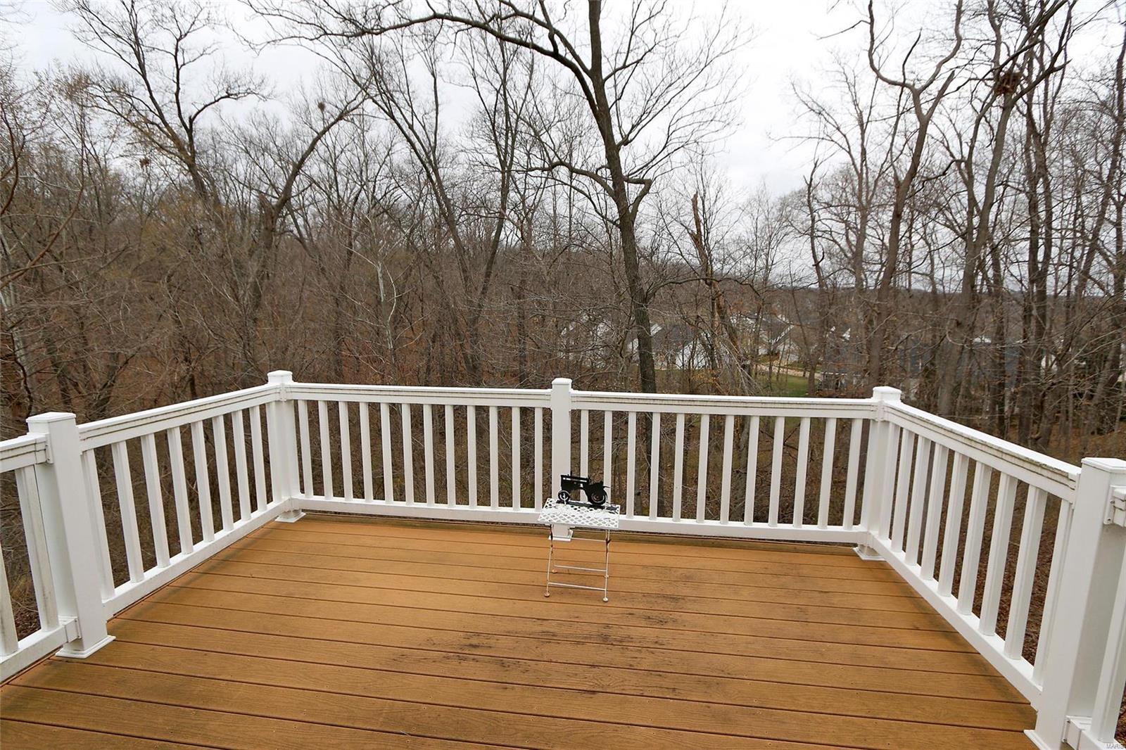 1229 Hunters Chase Drive Eureka, MO 63025 - Photo 27 of 31