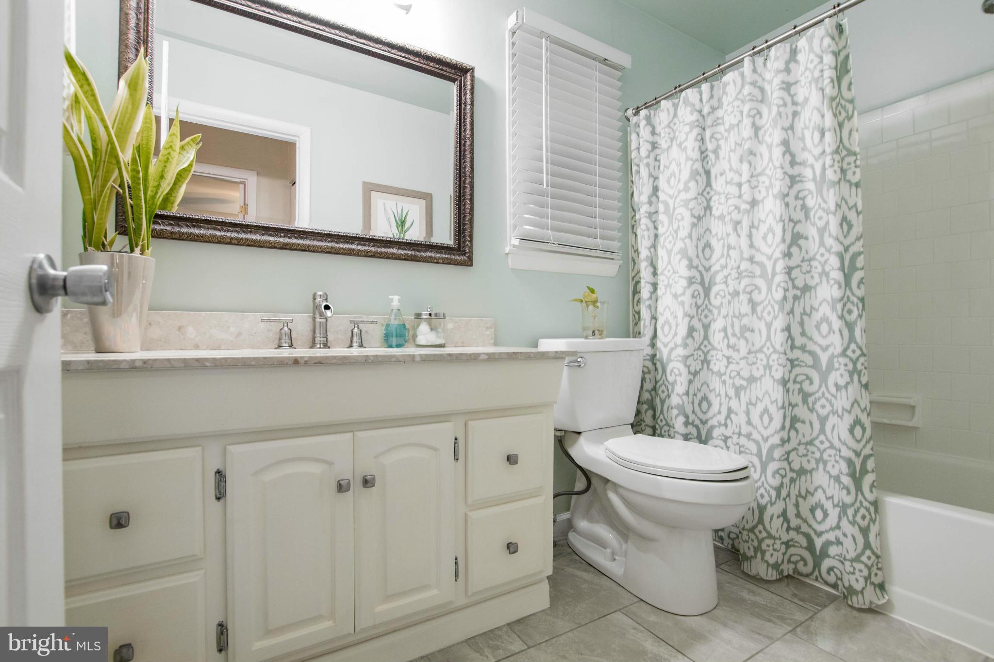 12815 Cunninghill Cove Road Baltimore, MD 21220 - Photo 15 of 30 Bath (Master)
