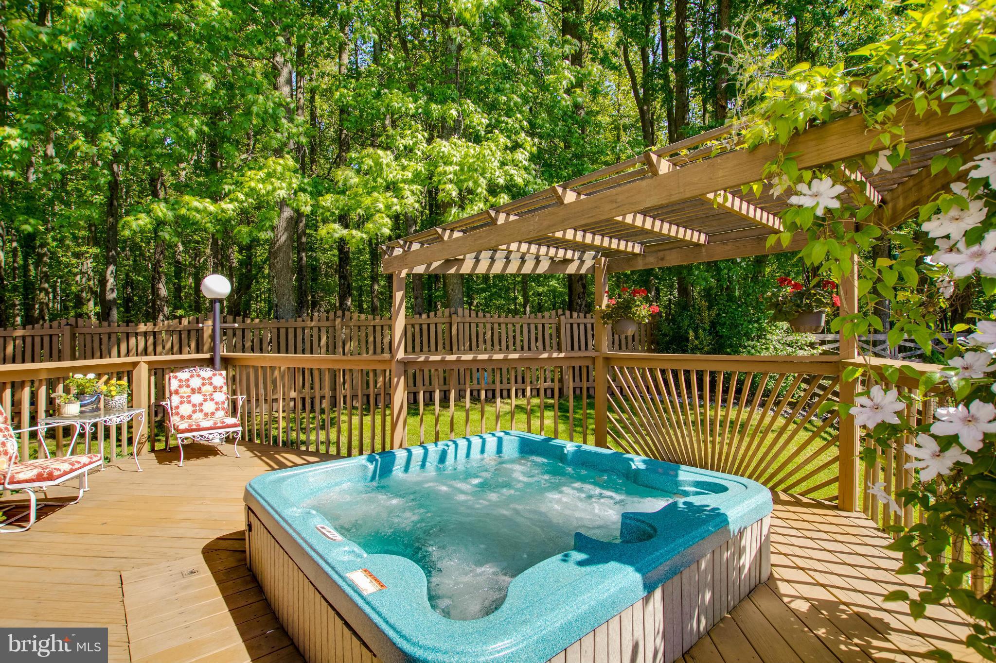 12815 Cunninghill Cove Road Baltimore, MD 21220 - Photo 25 of 30 Hot tub conveys with the property!