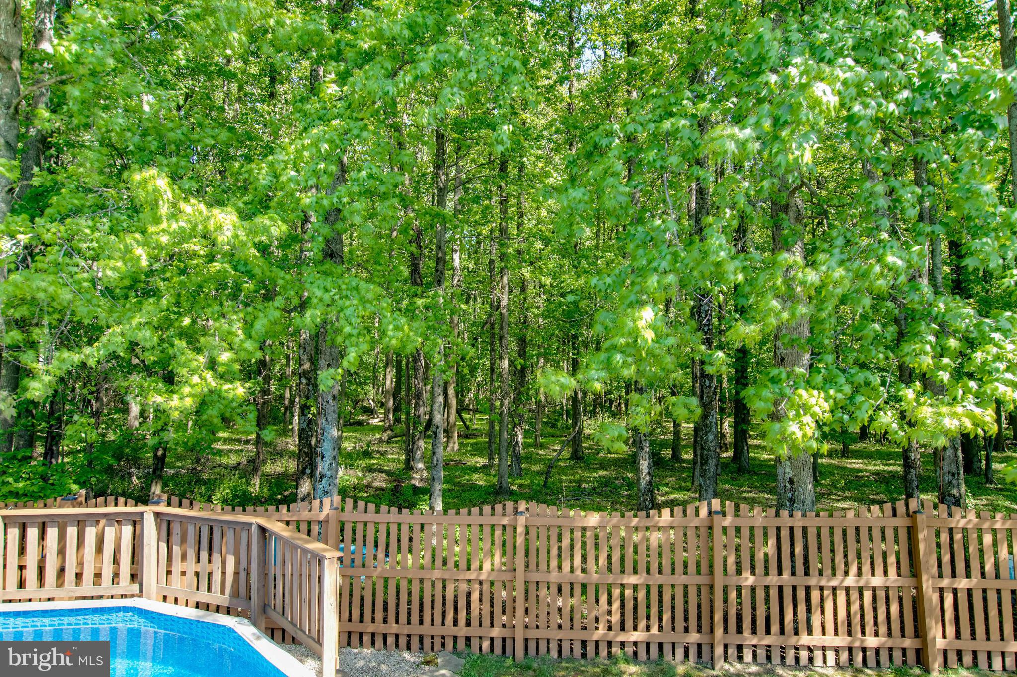 12815 Cunninghill Cove Road Baltimore, MD 21220 - Photo 29 of 30 Full fenced yard backing to Gunpowder!